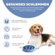 Ein Beagle ruht neben einer blauen langsamen Futter-Schüssel, die gesundes Essen, Verdauung und geistige Anregung fördert und Fettleibigkeit und Blähungen vorbeugt.