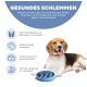 Ein Beagle ruht neben einer blauen langsamen Futter-Schüssel, die gesundes Essen, Verdauung und geistige Anregung fördert und Fettleibigkeit und Blähungen vorbeugt.