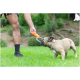 Mann spielt Tauziehen mit einem Französischen Bulldoggen mit einem orange-blauen Seilspielzeug auf grünem Gras.
