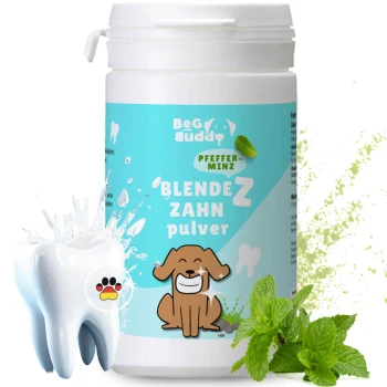 Behälter für Hundezahnpulver mit der Aufschrift 'BlendeZ Zahn Pulver' mit Minzgeschmack, mit einem lächelnden Hund und einer Zahn-Grafik, umgeben von Minzblättern.