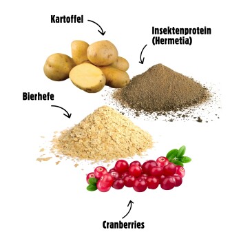Bild von Haustierfutterzutaten: Kartoffeln, Insektenprotein (Hermetia), Brauereihefe und Cranberries, beschriftet mit Pfeilen.