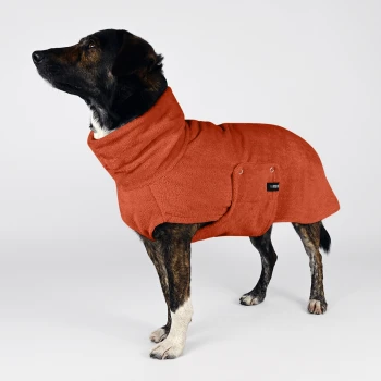 Ein Hund, der einen orangefarbenen Fleece-Mantel trägt, steht vor einem schlichten Hintergrund und zeigt sein stilvolles und warmes Outfit.