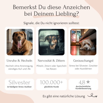 Bild, das FAVLY funktionale Haustierprodukte mit herkömmlichen Produkten vergleicht und Vorteile wie 100 % natürliche Zutaten und Transparenz hervorhebt.