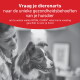 Poster met rode koptekst: Border Collie met eigenaar; tekst 'Vraag je dierenarts' ter promotie van ROYAL CANIN veterinaire voeding voor je hond.
