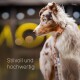 Hundehalsband & Hundeleine im Set - 2m Führleine, 3-fach verstellbar - Classic Kollektion M-XL