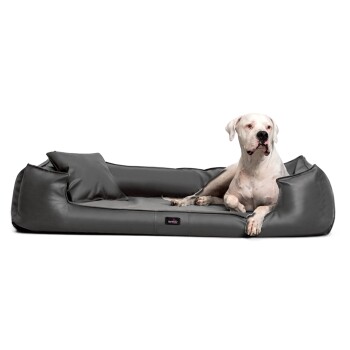 Ein elegantes, schwarzes Hundebett mit plüschigem Design, mit einem kleinen Kissen und einem entspannten Hund, der darauf liegt.