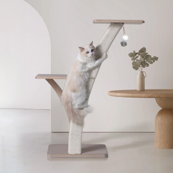 Eine flauschige cremefarbene Katze klettert auf einen modernen Katzenbaum mit einem Kratzbaum, der Holzregale und ein hängendes Spielzeug in einem minimalistischen Raum hat.