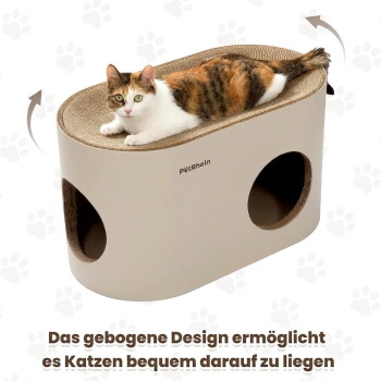 Drei Katzen: eine schläft oben und zwei schauen aus Löchern in einem beigen Haustierbett mit der Aufschrift „Petrhein“ auf einem gewebten Teppich.