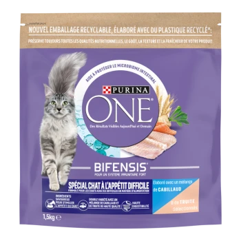 Sac violet Purina ONE BIFENSIS pour chat avec chat gris à poil long, poisson et blé ; texte « Spécial chat à l'appétit difficile ».