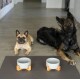 Zwei Hunde, ein Französischer Bulldogge und ein großer schwarzer Hund, liegen auf einer grauen Matte neben zwei modernen Futternäpfen mit Holzständern.