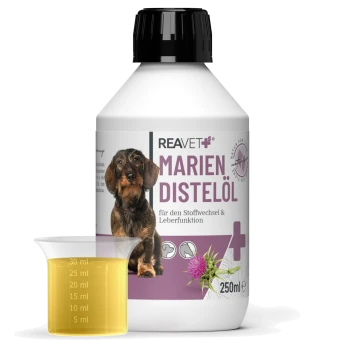Flasche REAVET Marien Distelöl (250ml) für den Stoffwechsel und die Leberfunktion, mit einem Dackel und einem Messbecher mit Öl.