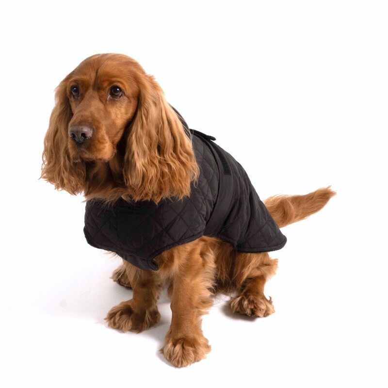 PAW WOW Hundejacke FRITZ Schwarz M