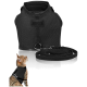 Schwarzes Katzengeschirr mit Leine, mit einem Netzdesign und einem Logoanhänger, neben einer Tabby-Katze, die nach oben schaut.