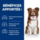 Un chien est assis contre un fond bleu avec un texte mettant en avant les avantages : renforce la barrière cutanée, stimule une peau saine et nourrit le pelage et la peau.