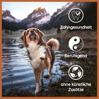 Ein glücklicher Hund steht in flachem Wasser mit Bergen im Hintergrund, mit den Texten: "Zahngesundheit," "Beruhigend," und "ohne künstliche Zusätze."