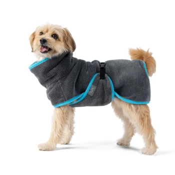 Ein kleiner Hund in einem gemütlichen grauen Fleece-Mantel mit blauen Akzenten, mit einer Schnallenverschluss, stehend vor einem schwarzen Hintergrund.