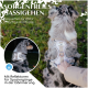 Ein Hund in einem reflektierenden Geschirr sitzt auf Gras, mit einer Hand, die ihn hält. Text: "Sorgenfreies Gassigehen" und "Bequemer Griff für Kontrolle."
