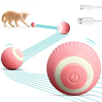 Ein verspieltes orangefarbenes Kätzchen greift nach einem pinken interaktiven Spielzeugball mit einem weißen Knopf, umgeben von blauen Bewegungslinien und einem USB-Kabel.