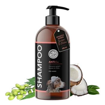 Flasche mit Anti-Floh- und Zeckenshampoo für Hunde, mit der Aufschrift "SHAMPOO ANTIecto," 500 ml, mit Kokosnüssen und grünen Blättern im Hintergrund.