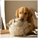 Golden-Retriever-Welpe, Gesicht teilweise verdeckt, umarmt ein flauschiges Schaf-Stofftier, Pfoten auf einem Tisch.