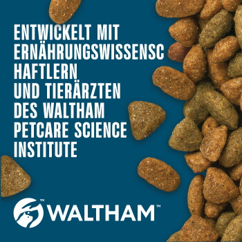 Braune Kroketten auf blauem Hintergrund mit WALTHAM-Logo und deutschem Text über das Waltham Petcare Science Institute.