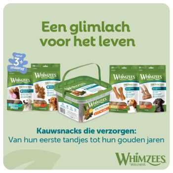 Assortiment Whimzees hondentandverzorgingssnoepjes op lichtgroene achtergrond; Nederlandse kop 'Een glimlach voor het leven' en slogan.