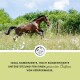 Ein braunes Pferd galoppiert auf einer grasbewachsenen Wiese unter einem blauen Himmel, mit Text darunter über die Unterstützung für eine gesunde Körpermasse.