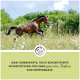 Ein braunes Pferd galoppiert auf einer grasbewachsenen Wiese unter einem blauen Himmel, mit Text darunter über die Unterstützung für eine gesunde Körpermasse.