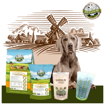Ein Weimaraner sitzt vor Bellfor-Haustierfutterprodukten, darunter "SHIMUN SKIN" und "Fleischfutter", mit einer Windmühle im Hintergrund.