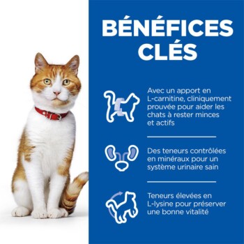 Science Plan Croquettes pour Chat Adulte, Stérilisé Saumon 1,5 kg
