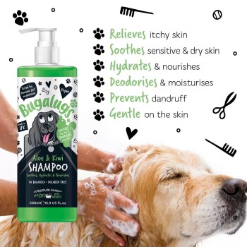 Bugalugs Aloe & Kiwi Shampoo-Flasche mit Cartoon-Hund-Label. Eine Person wäscht den Kopf eines Hundes damit und hebt die Hautvorteile hervor.