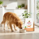 Golden retriever wącha miskę obok torby z napisem 'Select Gold Medica Veterinary Diet' w jasnej kuchni.