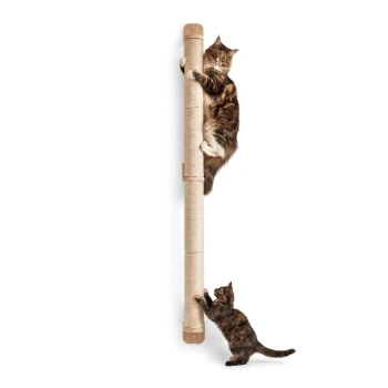 Zwei getigerte Katzen (Erwachsener und Kätzchen) benutzen einen vertikalen, an der Wand montierten Sisal-Kratzpfosten mit Holzenden vor weißem Hintergrund.