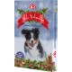 Adventskalender voor honden met een speelse hond in de sneeuw, met de tekst 'Frohe Weihnachten' en '24 lekkere Hundesnack-Überraschungen.'