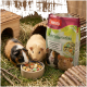 Nahaufnahme eines Meerschweinchens im Gras neben einer Tüte Panto-Futter, das natürliche Zutaten und zusätzliches Vitamin C zeigt.