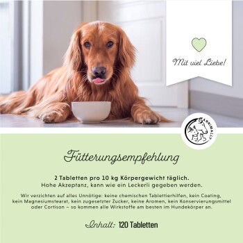 Ein weißer Hund auf einem Felsen in einem herbstlichen Wald, neben einer Nahaufnahme des Gesichts eines Deutschen Schäferhundes. Text auf Deutsch über Muskelregenerationstabletten für Haustiere.