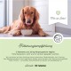 Ein weißer Hund auf einem Felsen in einem herbstlichen Wald, neben einer Nahaufnahme des Gesichts eines Deutschen Schäferhundes. Text auf Deutsch über Muskelregenerationstabletten für Haustiere.