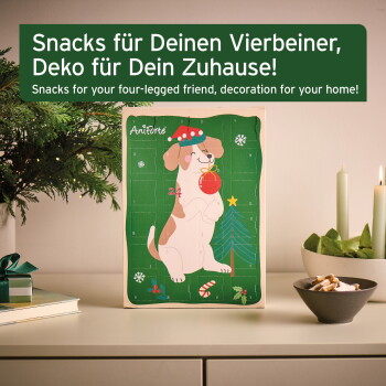 AniForte-Haustiersnacks zeigen verschiedene Hundeleckereien mit Zutaten wie Pferd, Rind, Huhn, Insekten, Früchten und Gemüse sowie Kokosnuss-Sticks.