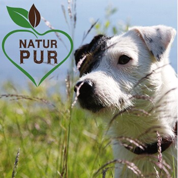 Eine Nahaufnahme eines weißen Hundes mit einem schwarzen Fleck auf dem Kopf, der im hohen Gras steht, mit einem grünen Herzlogo, das den Text "NATUR PUR" in Braun zeigt.