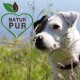 Eine Nahaufnahme eines weißen Hundes mit einem schwarzen Fleck auf dem Kopf, der im hohen Gras steht, mit einem grünen Herzlogo, das den Text "NATUR PUR" in Braun zeigt.