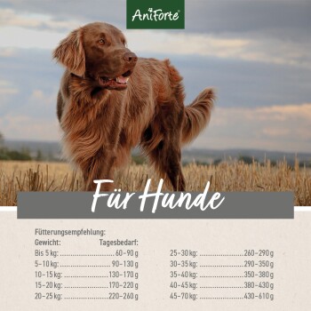 Ein brauner Hund steht auf einem Feld unter einem bewölkten Himmel, mit dem Text darunter "Für Hunde" und Fütterungsempfehlungen basierend auf dem Gewicht.