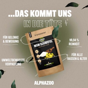 MSM Schwefelpulver für Hunde und Katzen in umweltfreundlicher Verpackung, fördert die Gelenkgesundheit und Bewegung, 99,94% Reinheit, geeignet für alle Rassen und Altersgruppen.