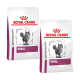 Zwei Beutel Royal Canin Veterinary Renal Katzenfutter, mit einer grauen getigerten Katze auf der Vorderseite und fettem Text, der "VETERINÄR" und "RENAL" besagt.