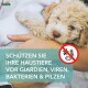 Anti-Giardien Spray für Hunde & Katzen (500ml)