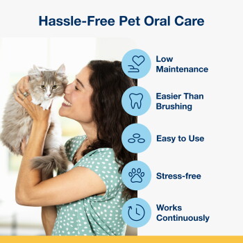 Woman holding a fluffy gray cat next to headline 'Hassle-Free Pet Oral Care'