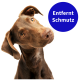 Eine Nahaufnahme eines neugierigen braunen Hundes mit geneigtem Kopf, begleitet von einem blauen Kreis mit dem Text "Entfernt Schmutz."