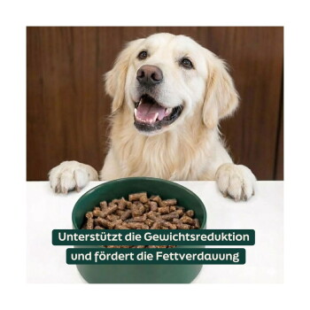 Lächelnder Golden Retriever an einem Tisch mit einer Schüssel Kibble; deutscher Text über Gewichtsreduktion und Fettverdauung