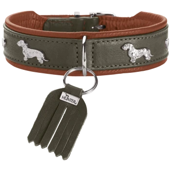 Olivgrünes Lederhalsband mit braunem Besatz, silbernen Dackel-Nieten, O-Ring und Wildleder-Quastenanhänger mit der Aufschrift „HUNTER“.