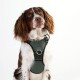 Neotech Harness GREEN