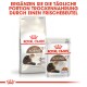 Senior Ageing 12+ 2 kg
